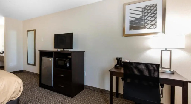 Standard- værelse Quality Inn & Suites Metropolis I-24