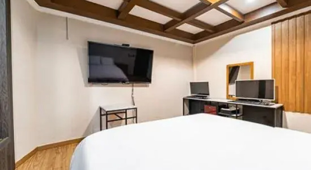 Номер Standard Hotel Feel Green