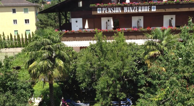 Pension Winzerhof