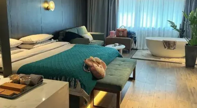 Люкс Deluxe Wangjiang Green Garden Hotel