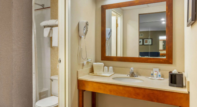 Двухместный люкс Comfort Suites Oakbrook Terrace near Oakbrook Center