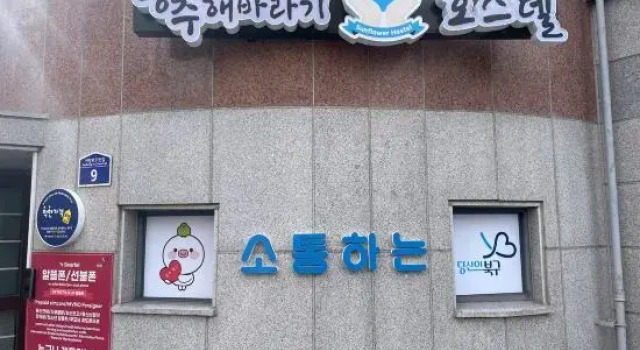 GwangJu SunFlower Hostel, 预订 青年旅舍 光州 京畿道