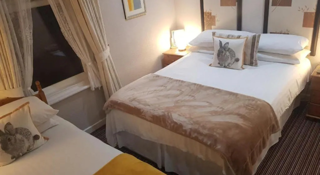 Standard- familie værelse Rock Dene Hotel