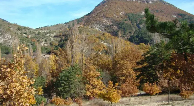 La Petite Bergerie, Rezervați Hotel Hoteluri în Rottier cu parcare, Parcare