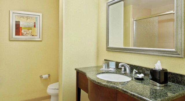 Двухместный люкс Hampton Inn & Suites Knoxville-Turkey Creek Farragut