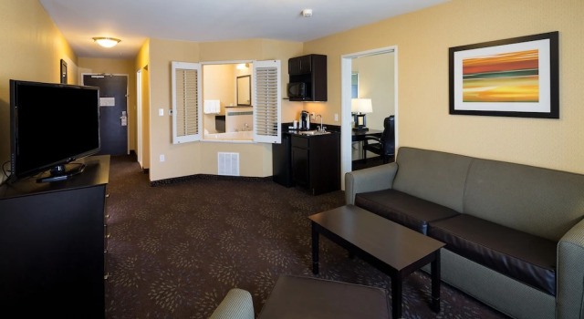 Люкс c 1 комнатой Holiday Inn Express & Suites Detroit North - Troy by IHG