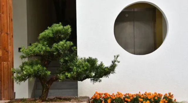 Lingyan Shanju Xingxuan Light Luxury Meisu (Xiangshan Film and Television City)