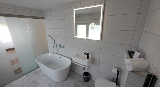Номер Deluxe Hotel Rhin Inn
