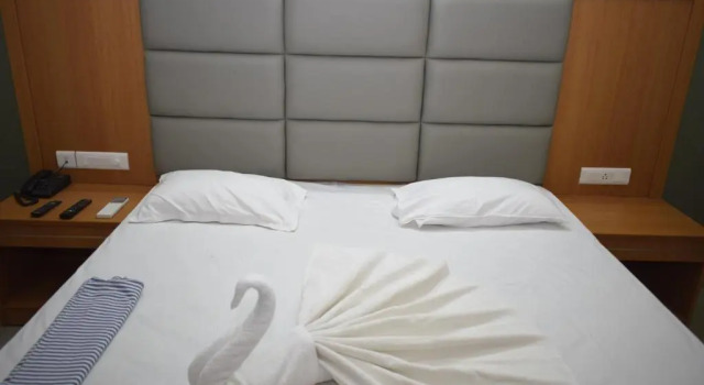 Номер Standard Hotel Vijay Krishna