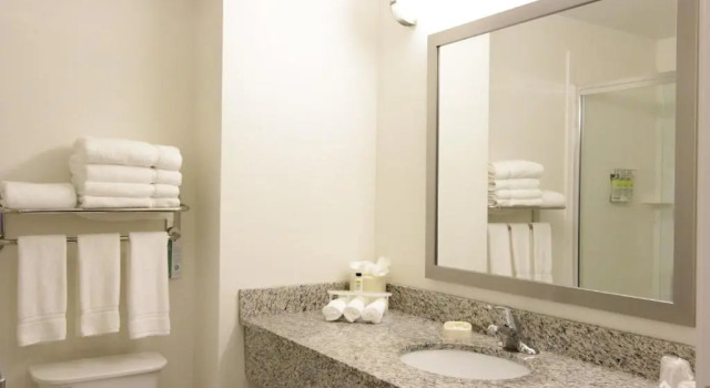 Двухместный люкс Holiday Inn Express and Suites Montgomery by IHG