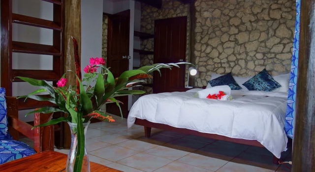 Студия Comfort Treetops Lodge