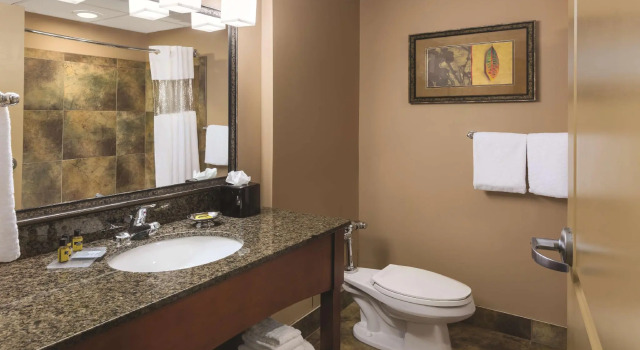 Двухместный номер Standard Wyndham Bloomington - Mall of America