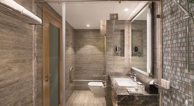 Номер Deluxe Radisson Mumbai Andheri MIDC