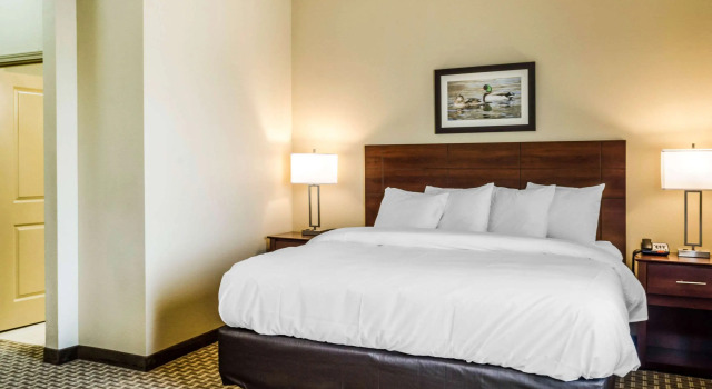 Двухместный люкс MainStay Suites Hackberry Sportsmans Lodge