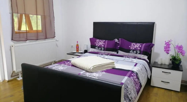 Номер Standard Pensiunea Izabel