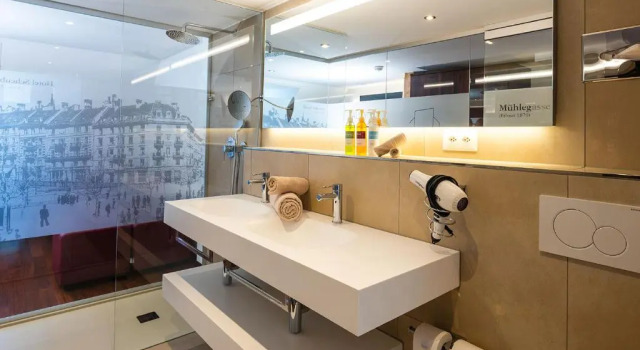 Одноместный номер Cozy Hotel Scheuble