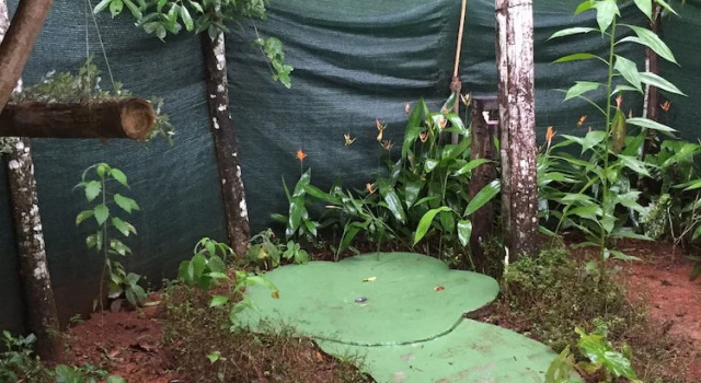 Номер Standard c 1 комнатой с видом на реку Isla Violin Eco Lodge