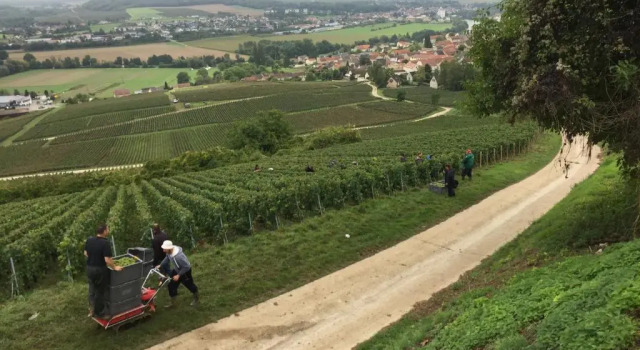 Вилла Villa lINSOUCIANCE en Champagne