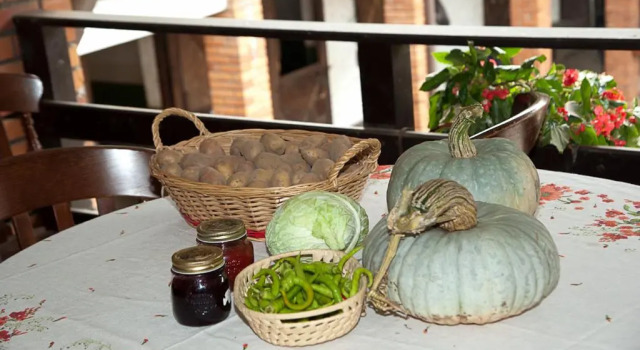 Номер Standard Agriturismo La Garzonera