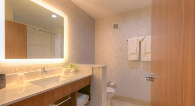 Номер Standard Holiday Inn Express & Suites Tulsa Midtown by IHG