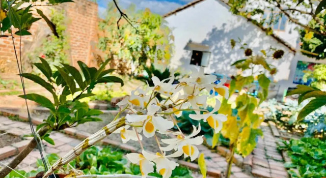 Vietnam Phuot Homestay, Rezervasyon Otel Kon Tum Kon Tum