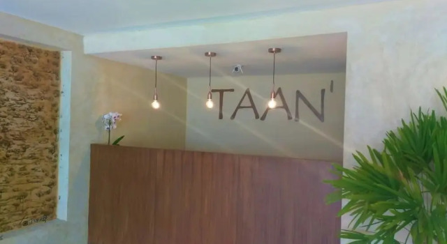 TAAN', Rezervasyon Otel Tulum havuzlu oteller, Yüzme Havuzu
