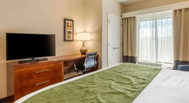 Номер Standard Comfort Inn & Suites Florence Center Area