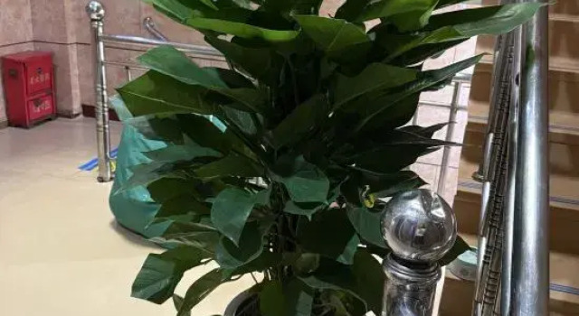 Holiday Hotel (Shaxian No.1 Shop), Book Hotel Sanming Fujian