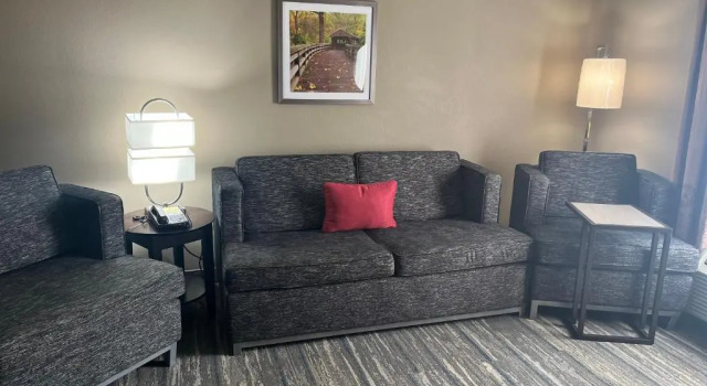 Люкс Comfort Inn & Suites Toledo North