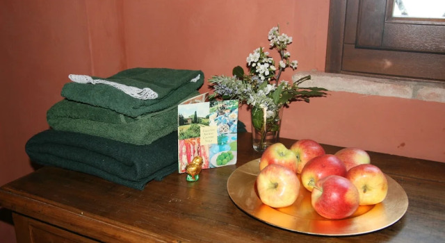 Номер Standard Galluzzo Ancient Country Villa
