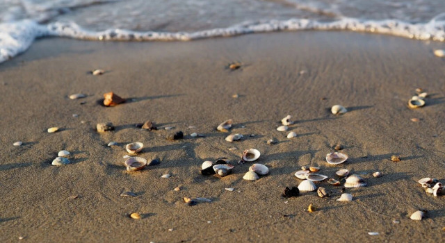 Студия Elegant Studio Located on the Gorgeous Coast of Bibione