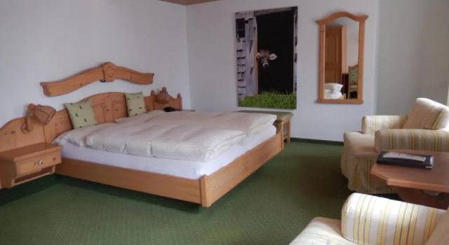 Двухместный номер Standard Hotel Drei Berge