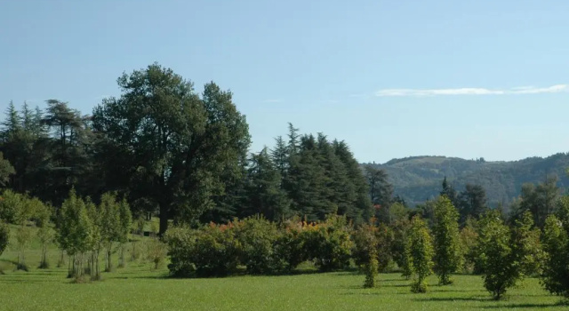 Трёхместный номер Standard Agriturismo Rio Verde
