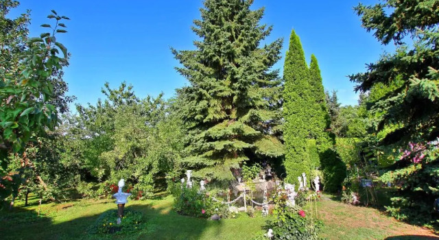 Апартаменты Ferienhaus Rechlin SEE 6171