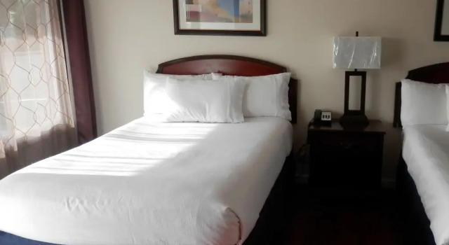 Четырёхместный номер Standard Blue Coast Inn & Suites