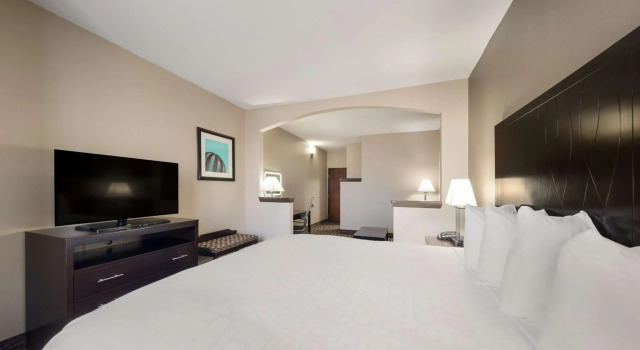Comfort Suites Plano East - Richardson