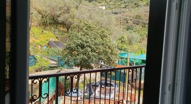 Номер Standard Villa Caribe affittacamere