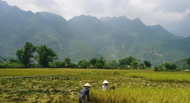 Номер Standard Mai Chau Countryside Homestay