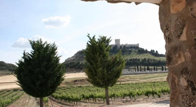 Номер Standard FINCA ENTREVIÑEDOS de Bodegas Marcos