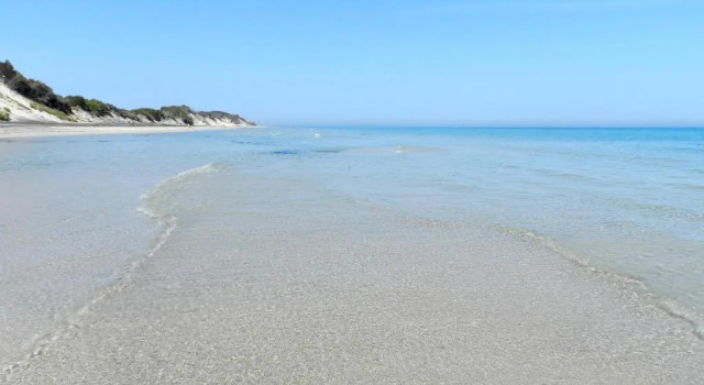 Номер Standard Agriturismo La Rondine