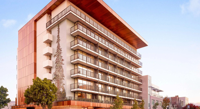 Номер Standard Nobu Hotel Palo Alto