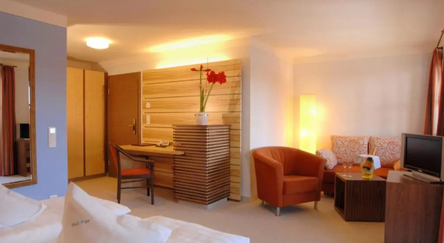 Номер Comfort Hotel Geiger