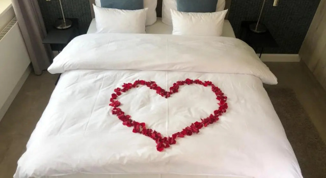Номер Standard Hotel Insel Pension