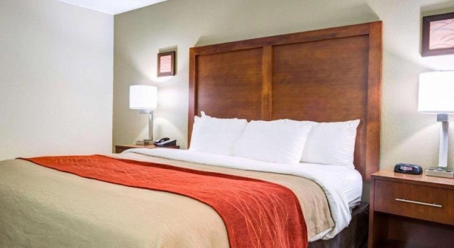 Люкс c 1 комнатой Comfort Inn & Suites Clemson - University Area