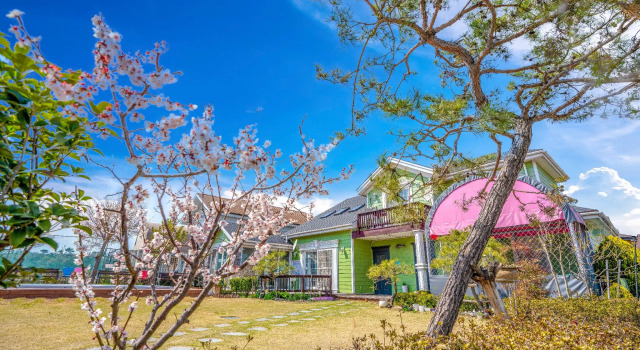 Daebudo polaris pension