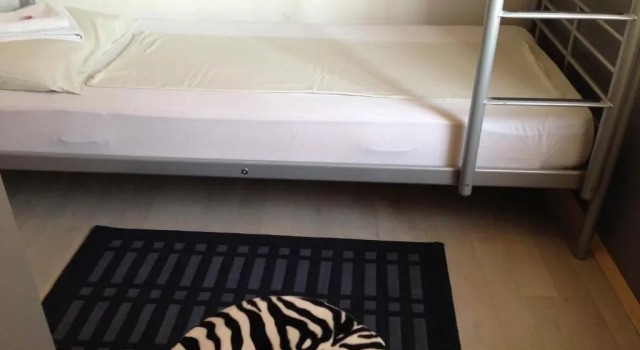 Номер Standard Vila DeLux