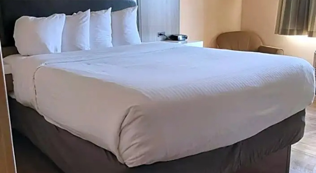 Номер Superior Lavissh Inn and Suites