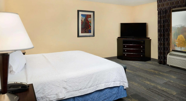 Двухместный номер Standard Hampton Inn & Suites Mount Juliet