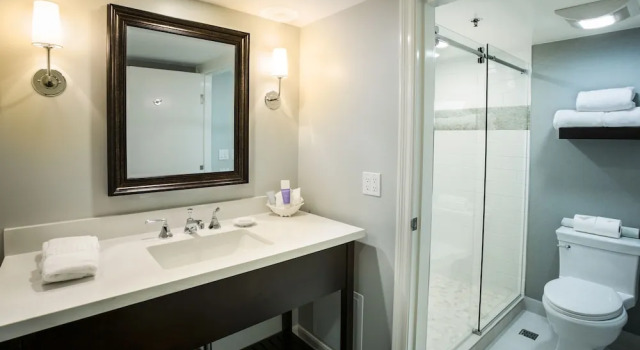 Номер Deluxe Hotel Metropole