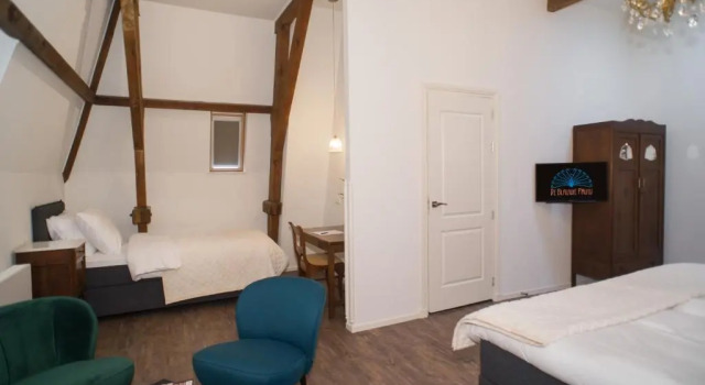 Номер Superior Boutique Hotel De Blauwe Pauw